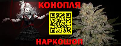 индика Кингисепп