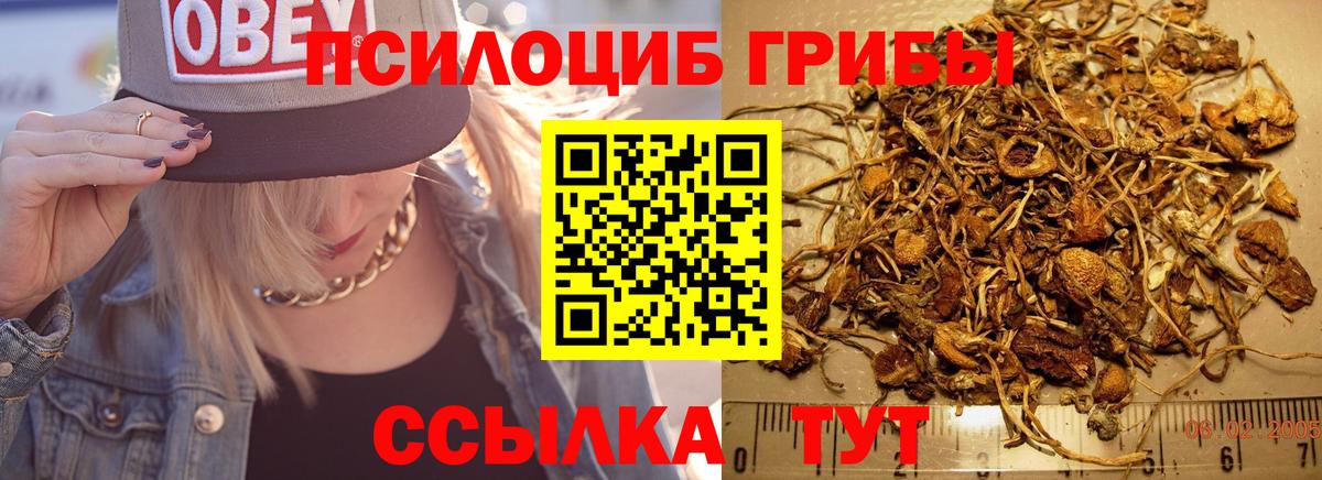 Галлюциногенные грибы Cubensis  Псилоцибиновые грибы Psilocybe  Соль-Илецк  Вход с VPN 