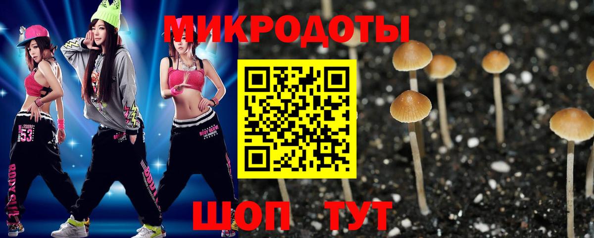 Псилоцибиновые грибы GOLDEN TEACHER Соль-Илецк